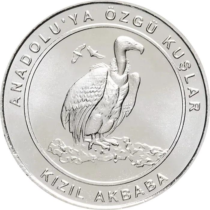 Kızıl Akbaba
